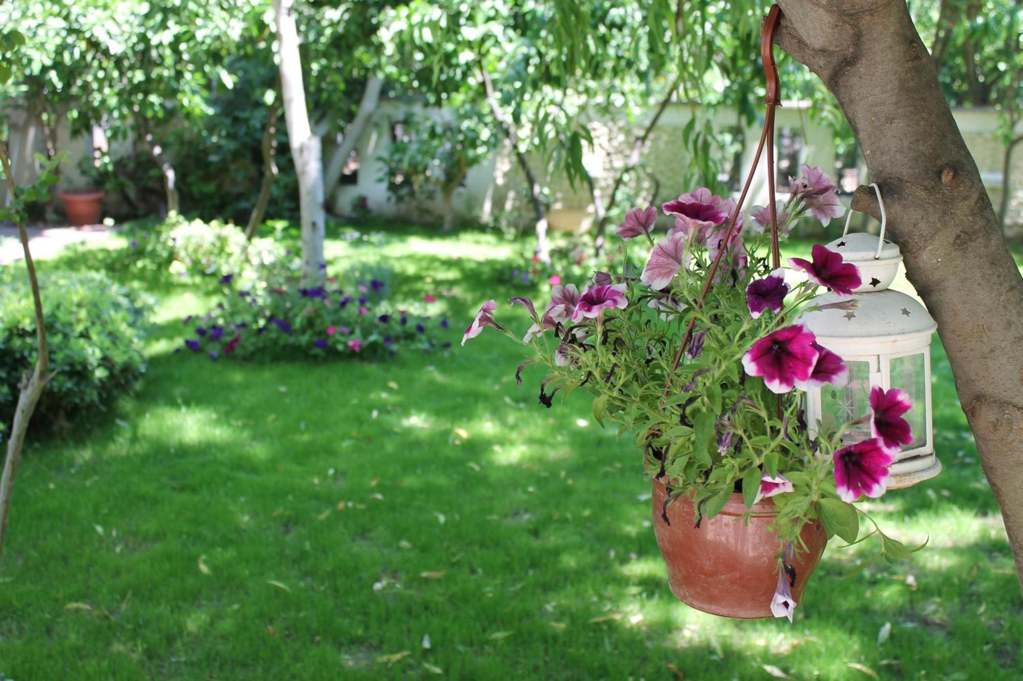 Bella Garden Hotel Бодрум Екстер'єр фото